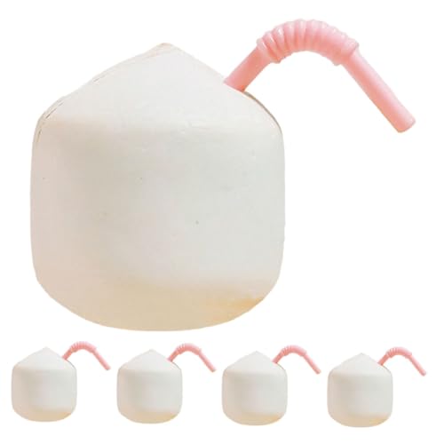 WEKAMOS Pcs Mini Künstliche Kokosnuss Simulierte Kokosnuss Für Home Frühen Lernen Spielzeug Puppenhaus Zubehör WEKAMOS Pcs Mini Künstliche Kokosnuss Simulierte Kokosnuss Für Home Frühen Lernen Spielzeug Puppenhaus Zubehör von WEKAMOS