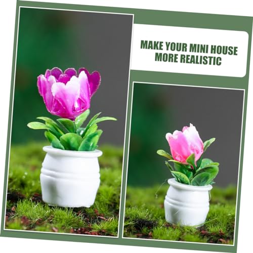 WEKAMOS 5 Stück Miniatur Bonsai Pflanze Teiliges Realistische Kleine Topfpflanzen für Puppenhaus Deko Lebensechte Miniatur Garten Landschaftsmodell Geeignet als Wohnzimmerschmuck und von WEKAMOS