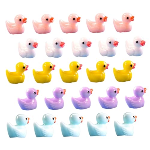 WEKAMOS 60 Stück Teiliges Resin Bonsai Dekor Miniatur Enten Figuren für Garten Tischdeko Mikrolandschaft DIY Charm Basteln Simulation Detailreich Robust von WEKAMOS
