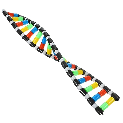 WEKAMOS DNA Doppelhelix Modell Bausatz aus Kunststoff Anschauliches Molekularmodell für Biologie und Chemieunterricht Leicht Montierbar Sicher und Geeignet für Schüler und Lehrkräfte WEKAMOS DNA Doppelhelix Modell Bausatz aus Kunststoff Anschauliches Molekularmodell für Biologie und Chemieunterricht Leicht Montierbar Sicher und Geeignet für Schüler und Lehrkräfte von WEKAMOS