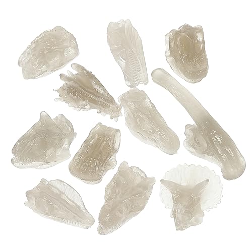 WEKAMOS Dinosaurier Schädel Modell Nachtleuchtendes Dinosaurier für Dekoration und Lernspielzeug mit Realistischen Fossilien für Jung und Alt WEKAMOS Dinosaurier Schädel Modell Nachtleuchtendes Dinosaurier für Dekoration und Lernspielzeug mit Realistischen Fossilien für Jung und Alt von WEKAMOS