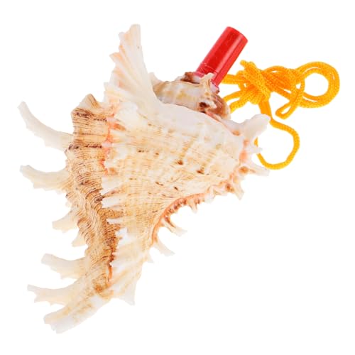 WEKAMOS Großes Natürliches Meeresschnecken Horn Muschelhorn mit Klarem Dekoratives Meeresmuschel für Reise und Strandspielzeug WEKAMOS Großes Natürliches Meeresschnecken Horn Muschelhorn mit Klarem Dekoratives Meeresmuschel für Reise und Strandspielzeug von WEKAMOS
