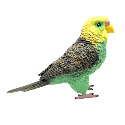 WEKAMOS Künstliches Budgerigar Modellspielzeug Lebensechte Papagei Figur für Langlebig aus Farbenfrohes Design Fantasie und Tierartenkenntnis WEKAMOS Künstliches Budgerigar Modellspielzeug Lebensechte Papagei Figur für Langlebig aus Farbenfrohes Design Fantasie und Tierartenkenntnis von WEKAMOS