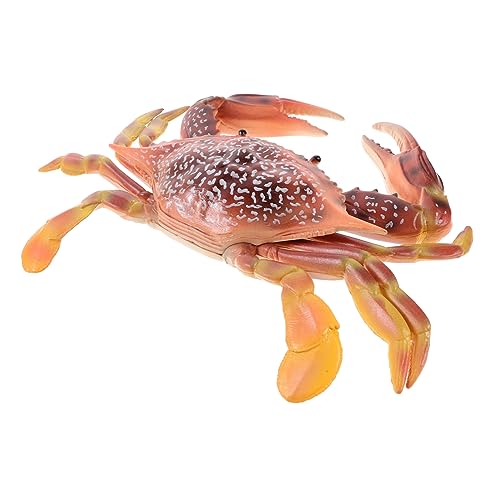 WEKAMOS Kunststoffkrabbenmodell Realistische Simulation Künstliches Meerestier für Dekoration und Lernspielzeug für Terrarien und Mottopartys WEKAMOS Kunststoffkrabbenmodell Realistische Simulation Künstliches Meerestier für Dekoration und Lernspielzeug für Terrarien und Mottopartys von WEKAMOS