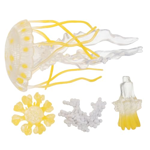 WEKAMOS Lernspielzeug Wasserspielzeug Quallen Lebenszyklus Modell Lebenszyklus Bildung Meeres Tier Figur Aquarium Dekoration Vorschule Interaktives Wissenschaftsspielzeug WEKAMOS Lernspielzeug Wasserspielzeug Quallen Lebenszyklus Modell Lebenszyklus Bildung Meeres Tier Figur Aquarium Dekoration Vorschule Interaktives Wissenschaftsspielzeug von WEKAMOS