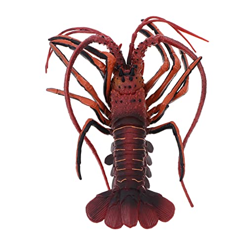 WEKAMOS Lobster Modell Realistisches Meeres Tier zur Dekoration Lernspielzeug für Detailgetreue Nachbildung Eines Australischen Hummers für Aquarium Dekoration und Kreative Bastelprojekte WEKAMOS Lobster Modell Realistisches Meeres Tier zur Dekoration Lernspielzeug für Detailgetreue Nachbildung Eines Australischen Hummers für Aquarium Dekoration und Kreative Bastelprojekte von WEKAMOS