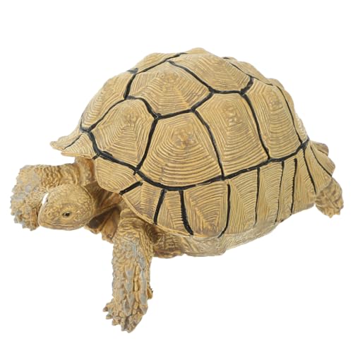 WEKAMOS Modellschildkröte Realistisches Schildkrötenfiguren Zur Gartendekoration Lehrmodell Für Kinderzimmer Und Schlafzimmer von WEKAMOS