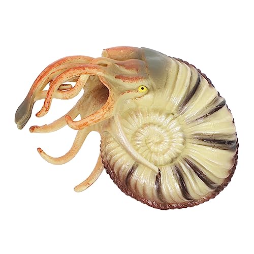 WEKAMOS Nautilus Modell Realistisches Meerestier für Aquarien Lernspielzeug für Dekoration Sicheres Langlebiges Material für Langfristigen Gebrauch WEKAMOS Nautilus Modell Realistisches Meerestier für Aquarien Lernspielzeug für Dekoration Sicheres Langlebiges Material für Langfristigen Gebrauch von WEKAMOS