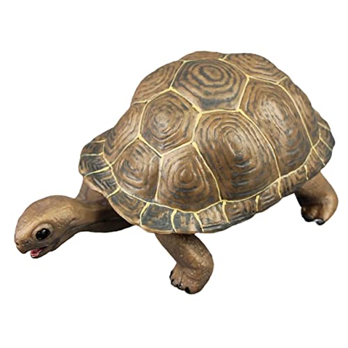 WEKAMOS Plastik Schildkrötenfigur Realistische Deko für Erwachsene Glatte Oberfläche Tischdeko Lernspielzeug für Tieridentifikation Modell Schildkröte für Zuhause WEKAMOS Plastik Schildkrötenfigur Realistische Deko für Erwachsene Glatte Oberfläche Tischdeko Lernspielzeug für Tieridentifikation Modell Schildkröte für Zuhause von WEKAMOS