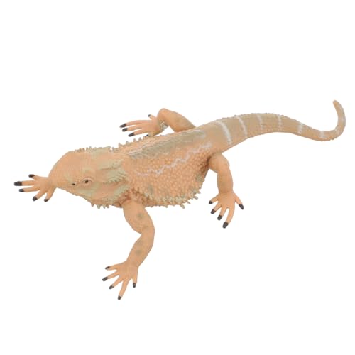 WEKAMOS Realistische Bartagamen Figur Kunststoff Lizard Modell Pädagogisch Sicher Glatte Oberfläche für Gartendeko Dekoration Indoor Outdoor WEKAMOS Realistische Bartagamen Figur Kunststoff Lizard Modell Pädagogisch Sicher Glatte Oberfläche für Gartendeko Dekoration Indoor Outdoor von WEKAMOS