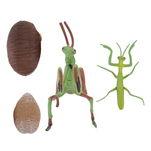 WEKAMOS Realistisches Insektenmodell Gottesanbeterin Grasfrosch Figur für Kindergarten Lernspielzeug zur Kognitiver Fähigkeiten und Naturgetreuer Tierdarstellung WEKAMOS Realistisches Insektenmodell Gottesanbeterin Grasfrosch Figur für Kindergarten Lernspielzeug zur Kognitiver Fähigkeiten und Naturgetreuer Tierdarstellung von WEKAMOS