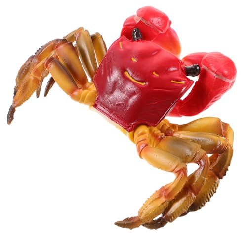 WEKAMOS Realistisches Krabbenmodell Kunststoff Meerestier Figur Deko Aquarium Dekoration Leichtes Langlebiges Lernspielzeug für Ozeanliebhaber von WEKAMOS