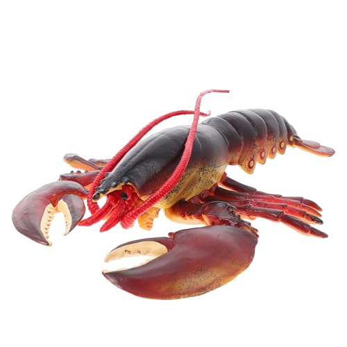 WEKAMOS Realistisches Meerestier Modell Lobster für Solide Nachbildung Detailreiche Verarbeitung Naturgetreue Gestaltung Dekorativ für Zuhause Büro und Kindergeschenk WEKAMOS Realistisches Meerestier Modell Lobster für Solide Nachbildung Detailreiche Verarbeitung Naturgetreue Gestaltung Dekorativ für Zuhause Büro und Kindergeschenk von WEKAMOS