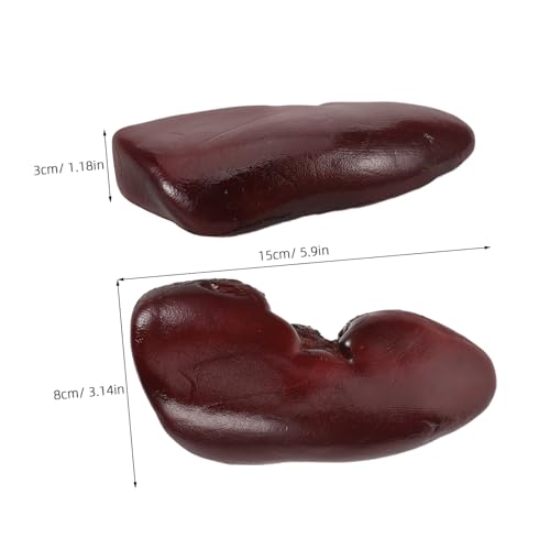 WEKAMOS Realistisches Schweine PU Modell Halloween Deko Prank Prop Für Cosplay Bühne Dollhouse Zubehör von WEKAMOS