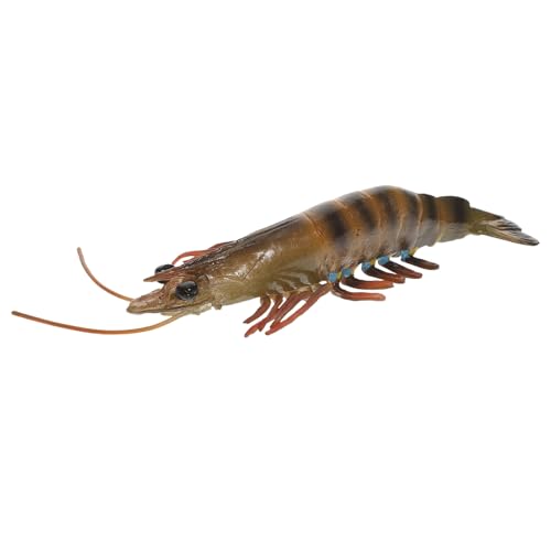 WEKAMOS Realistisches Shrimp Modellspielzeug aus Hochwertigem Kunststoff Detailgetreue Textur Pädagogisches Meerestier für Fördert Kreativität und Fantasie für und Rollenspiele WEKAMOS Realistisches Shrimp Modellspielzeug aus Hochwertigem Kunststoff Detailgetreue Textur Pädagogisches Meerestier für Fördert Kreativität und Fantasie für und Rollenspiele von WEKAMOS