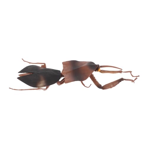 WEKAMOS Realistisches Totblatt Skulptur Insektenmodell Präzise Gestaltete Mantide Ornament Dekoration für Zuhause Garten Lernspielzeug WEKAMOS Realistisches Totblatt Skulptur Insektenmodell Präzise Gestaltete Mantide Ornament Dekoration für Zuhause Garten Lernspielzeug von WEKAMOS