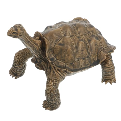 WEKAMOS Simulation Schildkröte Figurine Realistisches Tiermodell für Lernspielzeug zur des Tierbewusstseins Langlebig und Sicher für Schlafzimmer und Spielzimmer Braun WEKAMOS Simulation Schildkröte Figurine Realistisches Tiermodell für Lernspielzeug zur des Tierbewusstseins Langlebig und Sicher für Schlafzimmer und Spielzimmer Braun von WEKAMOS