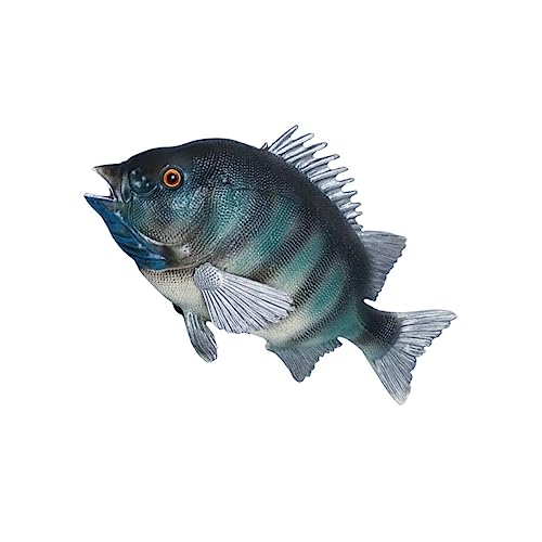 WEKAMOS Simuliertes Fischmodell Realistische Meerestiere für Lernspielzeug Fantasie und Kreativität Detailreiche Verarbeitung Sicher und Unterhaltsam für Aquarien Dekoration WEKAMOS Simuliertes Fischmodell Realistische Meerestiere für Lernspielzeug Fantasie und Kreativität Detailreiche Verarbeitung Sicher und Unterhaltsam für Aquarien Dekoration von WEKAMOS