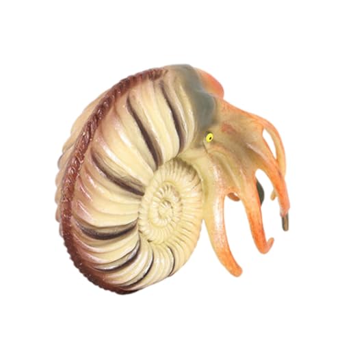 WEKAMOS Simuliertes Nautilus Modell Meeresbewohner Figurine Lernspielzeug Aquarium Dekoration Lebensecht Edukativ Kreatives Meeres Tiermodell von WEKAMOS