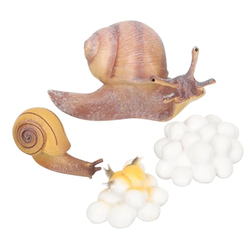 WEKAMOS Simuliertes Tiermodell Teilig Lebenszyklus Lernspielzeug für Montessori Frühpädagogik Realistische Wachstumszyklus Figuren für Jungen Mädchen Naturforscher WEKAMOS Simuliertes Tiermodell Teilig Lebenszyklus Lernspielzeug für Montessori Frühpädagogik Realistische Wachstumszyklus Figuren für Jungen Mädchen Naturforscher von WEKAMOS