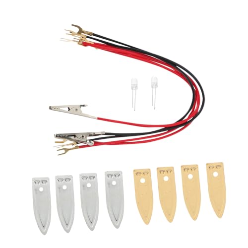 WESIEVYA 1 Satz DIY Obstbatterie Experimentierkit Pädagogisches zur Stromerzeugung aus Früchten für Schüler Fördert Kreativität und Praktische Fähigkeiten Einfach zu Montieren Lernspielzeug von WESIEVYA
