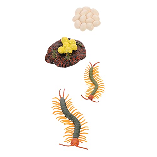 WESIEVYA 1 Set Centipede Life Cycle Toy Educational Plaything Centipede Life Wachstumszyklus von WESIEVYA