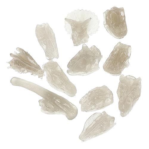 WESIEVYA Leuchtendes Dinosaurier-schädel-Spielzeug Montessori-lernspielzeug Dinosaurier-Skelett-Set Für Kinder Heimdekoration WESIEVYA Leuchtendes Dinosaurier-schädel-Spielzeug Montessori-lernspielzeug Dinosaurier-Skelett-Set Für Kinder Heimdekoration von WESIEVYA