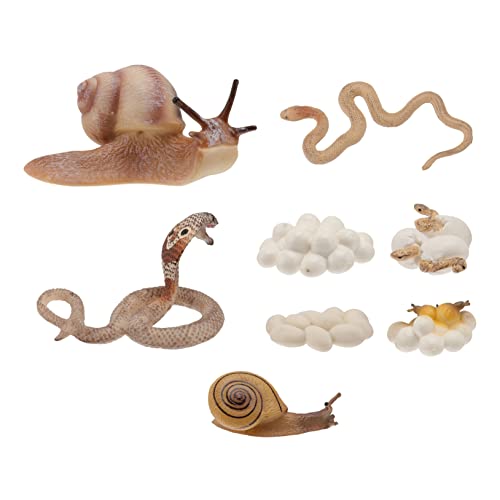 WESIEVYA 2sätze Simulation Tier Lebenszyklus Figuren Evolutionsmodelle Von Tieren Spielzeugmodelle Bildung Lehrmaterial Für Junge Mädchen WESIEVYA 2sätze Simulation Tier Lebenszyklus Figuren Evolutionsmodelle Von Tieren Spielzeugmodelle Bildung Lehrmaterial Für Junge Mädchen von WESIEVYA