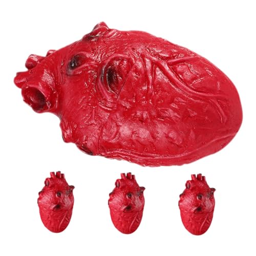 WESIEVYA 4 Stück Teiliges Halloween Blutiges Realistisches Menschliches Herz Requisit Detailgetreues Simulation Organ für Zombie Party Gruselige Haunted House Atmosphäre Sofort von WESIEVYA