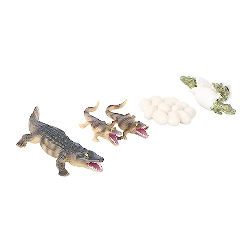 WESIEVYA 4stücke Teiliges Krokodil-wachstumsmodell Lehrspielzeug Zur Demonstration des Lebenszyklus Für Schreibtischdeko Realistische Tierfigur Biologischen Vielfalt von WESIEVYA