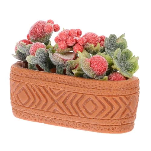 WESIEVYA Mini Topfgrünpflanzen, Miniaturblume, Winzige, Miniatur Blumentopf, Ornament, Puppenhaus, Bonsai, Winzige Topfblume, Pflanze, Miniatur Dekoration, Mini Topfblume Für Puppenhaus WESIEVYA Mini Topfgrünpflanzen, Miniaturblume, Winzige, Miniatur Blumentopf, Ornament, Puppenhaus, Bonsai, Winzige Topfblume, Pflanze, Miniatur Dekoration, Mini Topfblume Für Puppenhaus von WESIEVYA