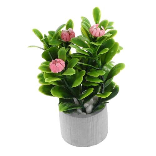 WESIEVYA Topfpflanzen Zierpflanzen Miniatur Bonsai Pflanze Im Topf Künstliche Bonsai Deko Für Puppenhaus Simulationspflanze Mikrozementtopf Ideale Dekoration Für Innenräume Und Miniaturprojekte WESIEVYA Topfpflanzen Zierpflanzen Miniatur Bonsai Pflanze Im Topf Künstliche Bonsai Deko Für Puppenhaus Simulationspflanze Mikrozementtopf Ideale Dekoration Für Innenräume Und Miniaturprojekte von WESIEVYA