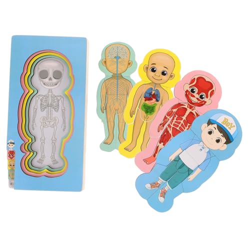 WESIEVYA Jungen Mädchen Holz Anatomie Puzzle Spielzeug Kleinkind Pädagogisches Puzzle Menschlichen Körper WESIEVYA Jungen Mädchen Holz Anatomie Puzzle Spielzeug Kleinkind Pädagogisches Puzzle Menschlichen Körper von WESIEVYA