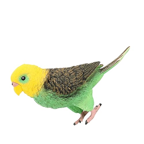 WESIEVYA Realistisches Wellensittich Modell Simulation Papagei Deko Für Budgerigar Ornamental Figur Ideal Für Vogel Liebhaber Und Als von WESIEVYA