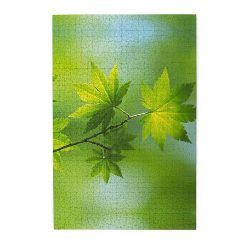 HD Green Nature Buntes Holzpuzzle – herausforderndes Bilder-Puzzle-Spiel für Erwachsene und Puzzle-Enthusiasten – 1000-teiliges interaktives Puzzle von WESTCH