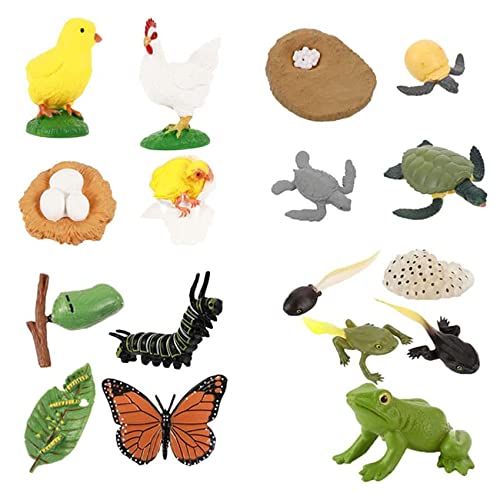 WETG 17PCS Life Cycle of Frog Schmetterlinge Schildkröte Huhn Figuren Insekt Farm Tiere Growth Model for Kids Toys Kit von WETG