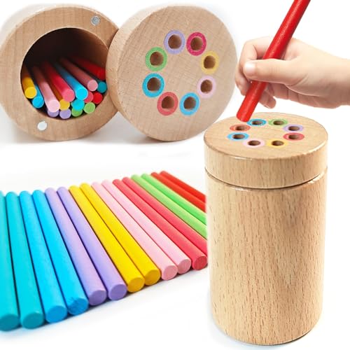 WGNIVOROUS Montessori Spielzeug ab 1 2 3 Jahr, Kinder Holzspielzeug Farben Lernen Sortierspiel ab 18 Monate Sensorik Spielzeug (Blechförmiger Holzstab) von WGNIVOROUS