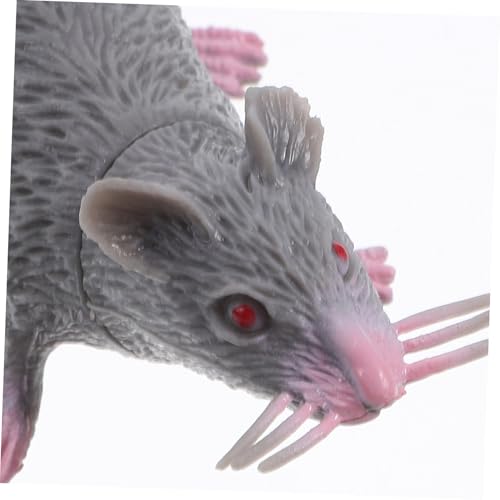 WHAMVOX 10 Stück Teiliges Realistische Fake Ratten Deko für Halloween und Streiche Gruselige Kleine Mäuse für Spukhaus und Party Lebensnahe Ratten Modelle und Schwarz WHAMVOX 10 Stück Teiliges Realistische Fake Ratten Deko für Halloween und Streiche Gruselige Kleine Mäuse für Spukhaus und Party Lebensnahe Ratten Modelle und Schwarz von WHAMVOX