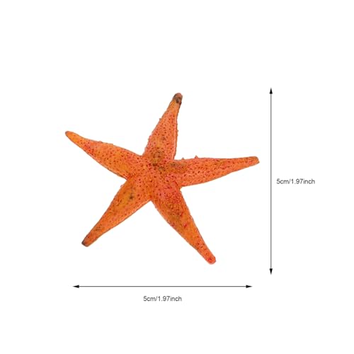 WHAMVOX 12 Stück Teiliges Realistischer Meerestiere Figuren aus Kunststoff Bunte Unterwasser Tiermodelle als Pädagogisches Kinderspielzeug und Dekoration Langlebige Detailreiche von WHAMVOX