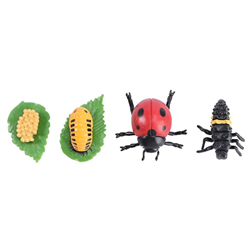 WHAMVOX 1Satz Simulation Tiermodell Lebenszyklen für Realistische Insekten und Tiere Lernspielzeug für Bildungsbedarf und Partydekoration für Geschichtenerzählen und Präsentationen von WHAMVOX