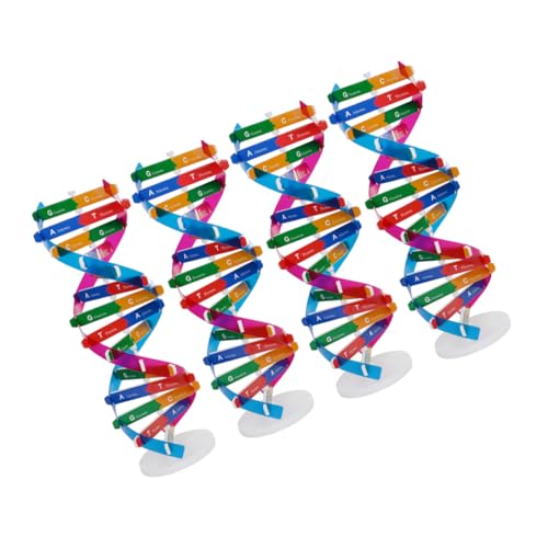 WHAMVOX 4 Stück Teiliges DNA Modell Realistisches Doppelhelix Struktur Lernspielzeug Pädagogisches Wissenschafts Konstruktionsset für Menschliche Gene Fördert Praktische Fähigkeiten und von WHAMVOX