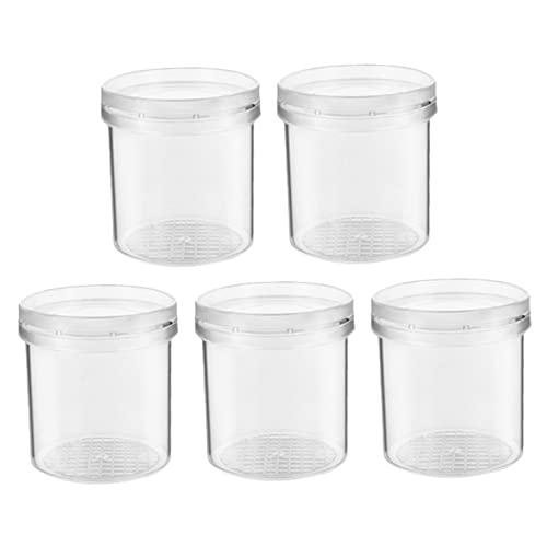WHAMVOX 5Stücke Teiliges Outdoor Insektenbeobachtungsset Transparente Vergrößerungsbehälter für Naturentdeckungen und Wissenschaftliche Experimente WHAMVOX 5Stücke Teiliges Outdoor Insektenbeobachtungsset Transparente Vergrößerungsbehälter für Naturentdeckungen und Wissenschaftliche Experimente von WHAMVOX