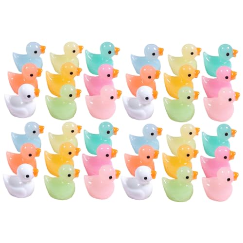 WHAMVOX 60 Stck. leuchtende Entenverzierung winzig kleine Enten ducken Mini-Frösche cutermesserser heusgen sukkulente bastelzeug miniaturen Figuren Mini-Harz Miniaturtiere Statue von WHAMVOX