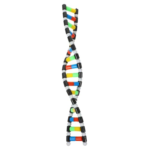 WHAMVOX DNA Doppelhelix Modell Bausatz aus Sicherem Kunststoff Interaktives Leicht Montierbares Molekulares Lernmodell für Biologieunterricht Wissenschaftsprojekte und von WHAMVOX