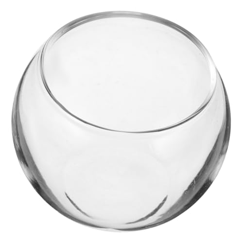 WHAMVOX Elegantes Mini-Aquarium 5 cm Glasschale Landschafts-Aquarium-Dekoration Für Puppenhaus Für Jungen Und Mädchen von WHAMVOX