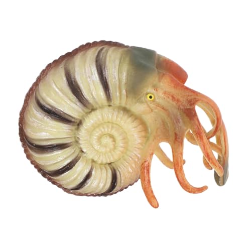 WHAMVOX Nautilus Modell Simuliertes Meerestier Ornament für Wohnzimmerdekoration Langlebig und Realistisch für Aquarien und Kindliche Frühpädagogik WHAMVOX Nautilus Modell Simuliertes Meerestier Ornament für Wohnzimmerdekoration Langlebig und Realistisch für Aquarien und Kindliche Frühpädagogik von WHAMVOX