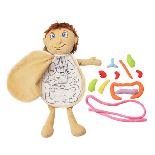 WHAMVOX Plüsch Körperorgane Puzzle für Vorschulkinder Pädagogisches Lernspiel zur menschlichen Biologie Weiches Organ Modell für Jungen und Mädchen Fördert Feinmotorik und WHAMVOX Plüsch Körperorgane Puzzle für Vorschulkinder Pädagogisches Lernspiel zur menschlichen Biologie Weiches Organ Modell für Jungen und Mädchen Fördert Feinmotorik und von WHAMVOX