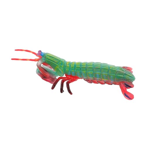 WHAMVOX Realistische Mantis Garnelen Figur Simulation Eines Meerestiermodells Für Pädagogisches Kognitives Meerestiermodell Gefälschtes Lebensechtes Garnelenmodell WHAMVOX Realistische Mantis Garnelen Figur Simulation Eines Meerestiermodells Für Pädagogisches Kognitives Meerestiermodell Gefälschtes Lebensechtes Garnelenmodell von WHAMVOX