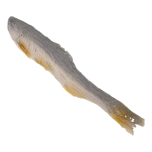 WHAMVOX Realistisches Deko-Modell Getrockneter Fisch Prop Fish Künstliche Fischscheiben Langlebig Farbecht für Restaurant Schaufenster Fotografie Requisiten Vielseitig Einsetzbar WHAMVOX Realistisches Deko-Modell Getrockneter Fisch Prop Fish Künstliche Fischscheiben Langlebig Farbecht für Restaurant Schaufenster Fotografie Requisiten Vielseitig Einsetzbar von WHAMVOX
