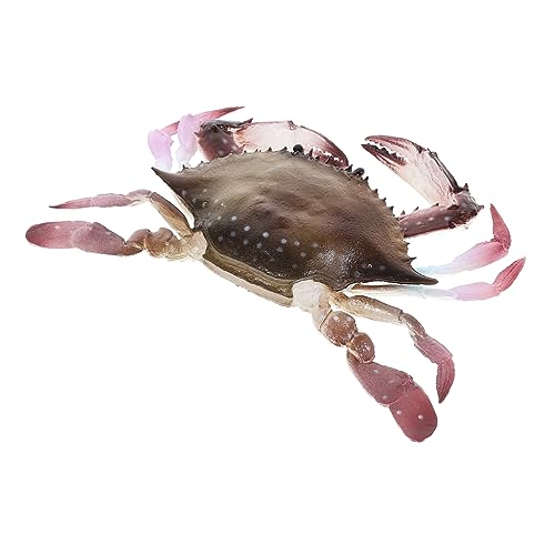 WHAMVOX Realistisches Krabbenmodell PVC Detailgetreue Simulation Stabiles Material Kompakte Meeresdeko Edukatives Meerestier für Aquarium Büro und Zuhause von WHAMVOX